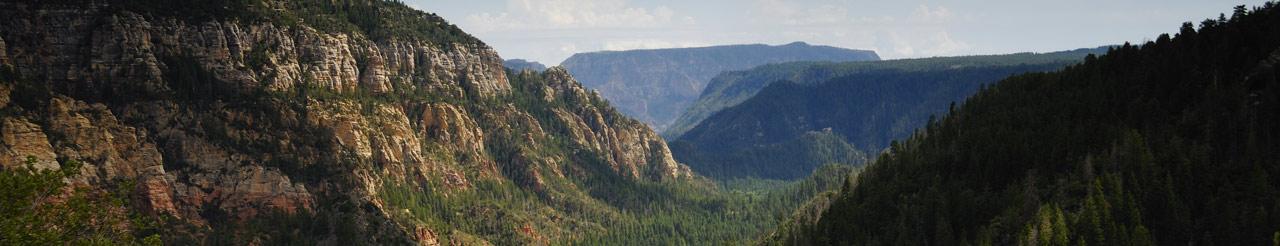 Canyon with trees